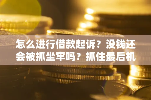 武汉怎么进行借款起诉？没钱还会被抓坐牢吗？抓住最后机会！
