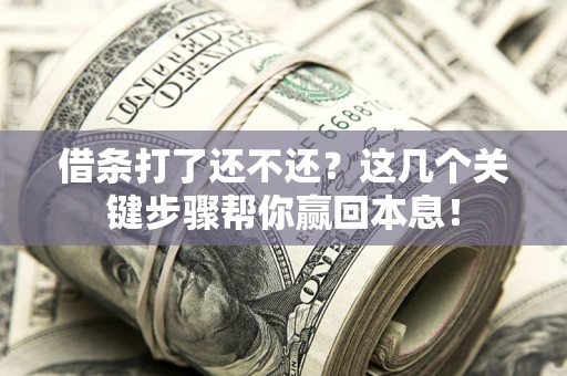 武汉借条打了还不还？这几个关键步骤帮你赢回本息！