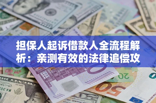 武汉担保人起诉借款人全流程解析：亲测有效的法律追偿攻略