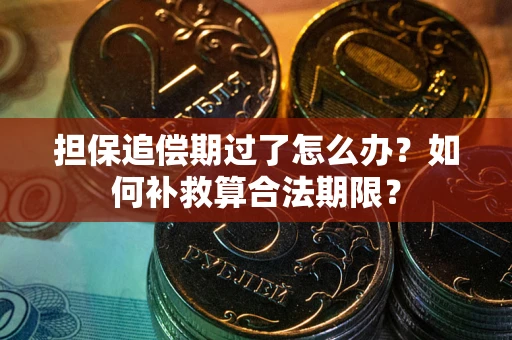 武汉担保追偿期过了怎么办？如何补救算合法期限？