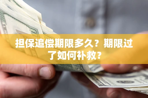 武汉担保追偿期限多久？期限过了如何补救？