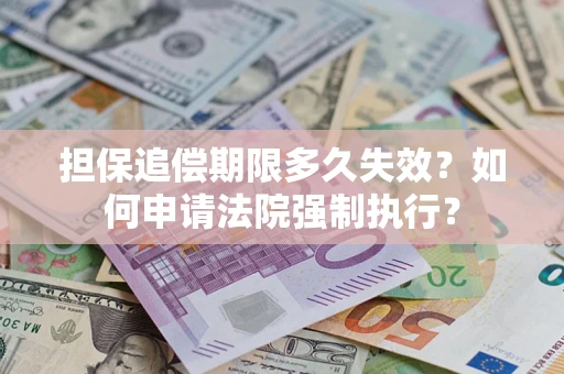 武汉担保追偿期限多久失效？如何申请法院强制执行？