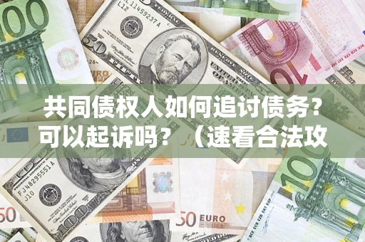 武汉共同债权人如何追讨债务？可以起诉吗？（速看合法攻略）