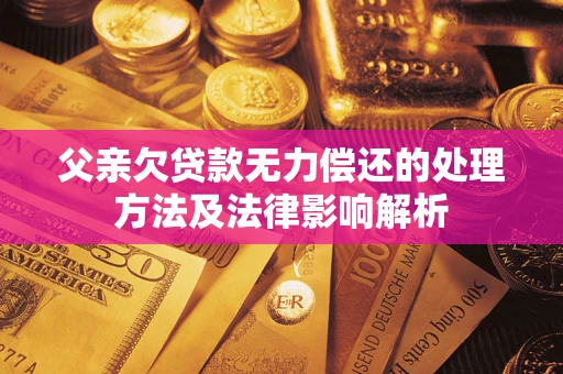 武汉父亲欠贷款无力偿还的处理方法及法律影响解析