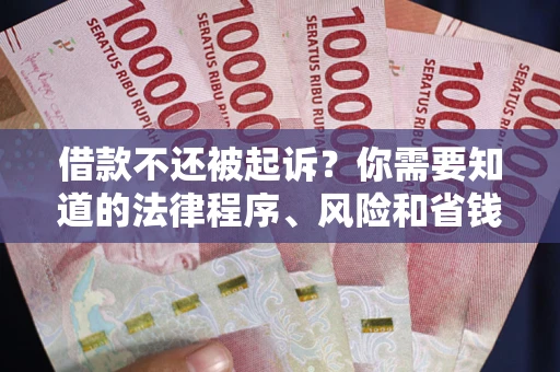 武汉借款不还被起诉？你需要知道的法律程序、风险和省钱技巧